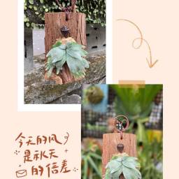 課程圖片 2